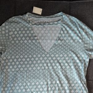 Mint Patterned V-Neck Aeropostale Tee